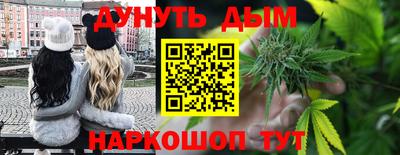 ECSTASY Гатчина