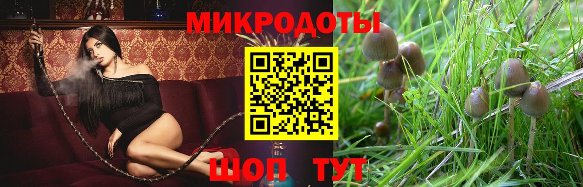 Псилоцибиновые грибы MAGIC MUSHROOMS Ишимбай